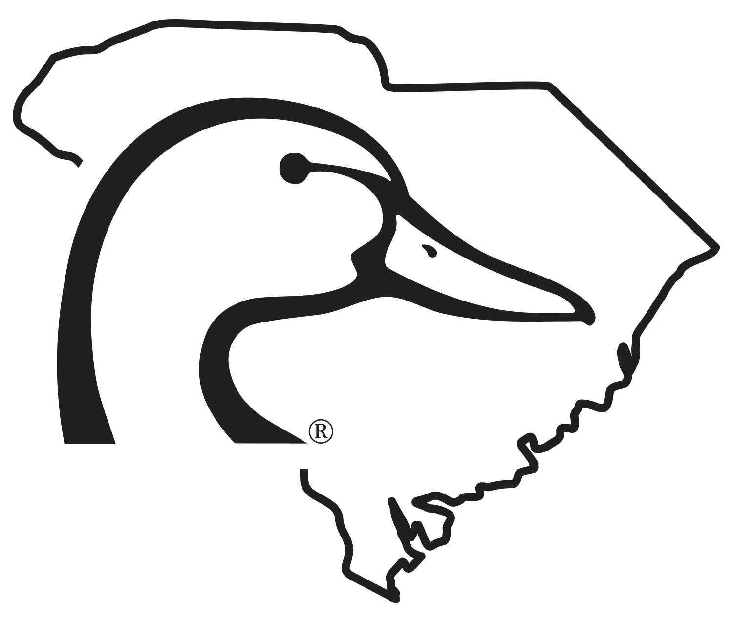 south-carolina-ducks-unlimited